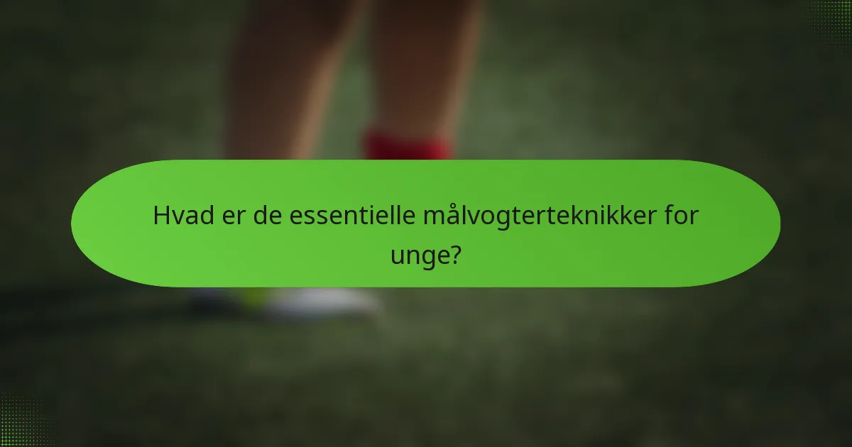Hvad er de essentielle målvogterteknikker for unge?